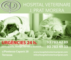 Foto 993 adiestramiento de animales - Hospital Veterinario Jprat