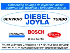 Foto 25 repuestos de coche en Tarragona - Diesel Joyla