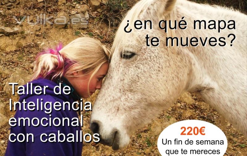 Taller de Inteligencia emocional con Caballos - Abril 2103