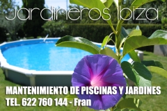 Servicios  de jardineria ibiza