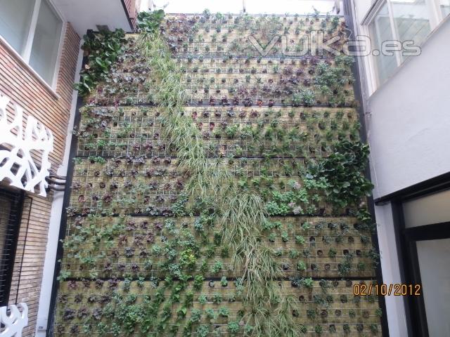 Jardín vertical para ISEN, Universidad de Navarra, Madrid