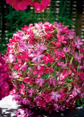 Haz tu decoracion mas atractiva con nuestras plantas y flores artificiales de la mayor calidad