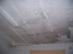 Condensacion en techo de cocina