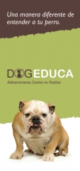 Educacion canina, preadiestramiento de cachorros y otros servicios en modificacion de conducta