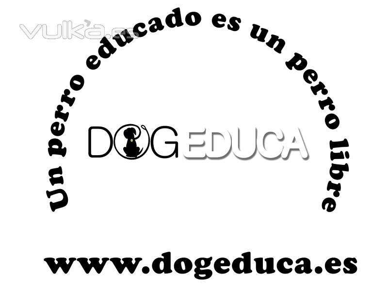 DogEduca adiestramiento canino y otros servicios en Madrid