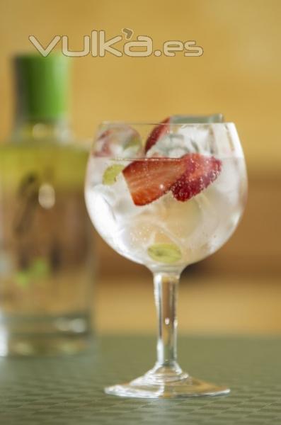 Carta de Gin&tonic premium