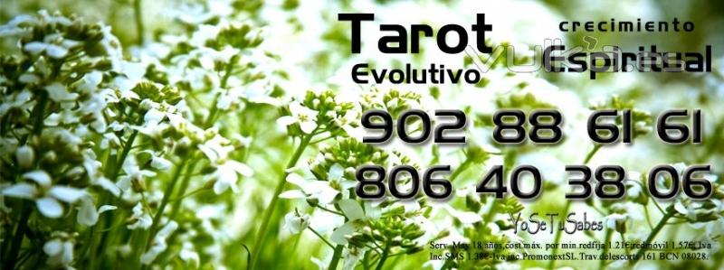 Tarot Visa, Consulta de Tarot Profesional