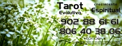 Tarot visa, consulta de tarot profesional