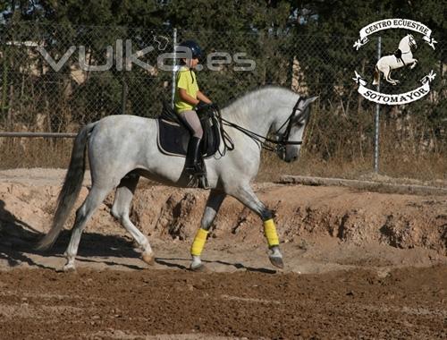 Los alumnos aprenden a montar, también salimos al campo de paseo