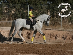 Los alumnos aprenden a montar, también salimos al campo de paseo