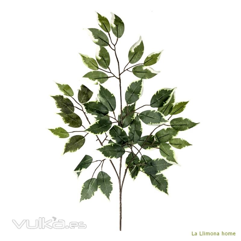 Plantas artificiales. Rama hojas ficus artificiales bicolor 60 - La Llimona home