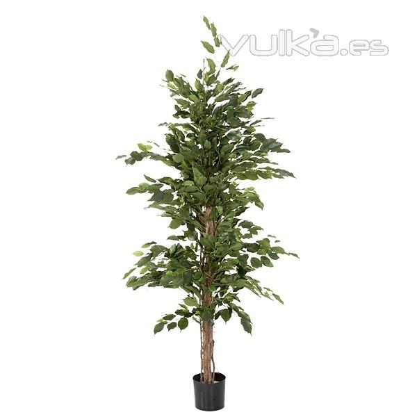 Plantas artificiales. Planta ficus artificial exotic verde 185 - La Llimona home