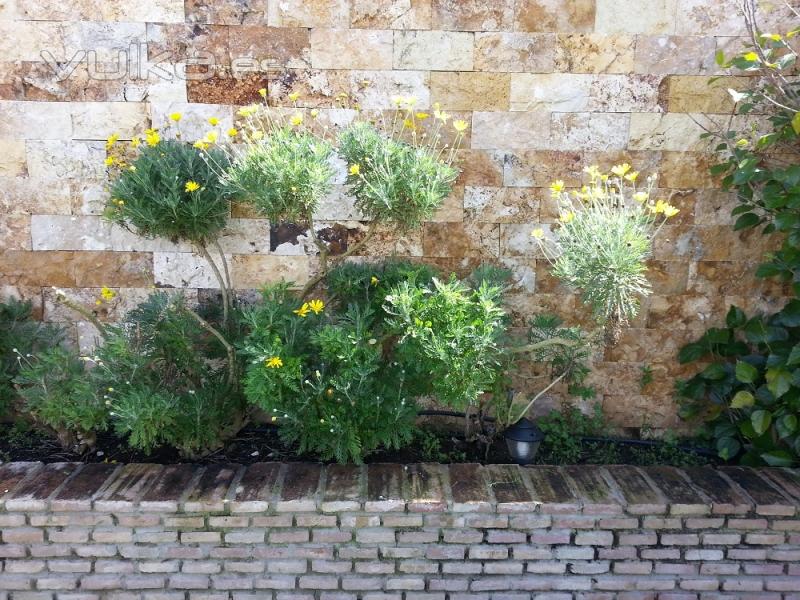 Jardinería-Jardines del Sur