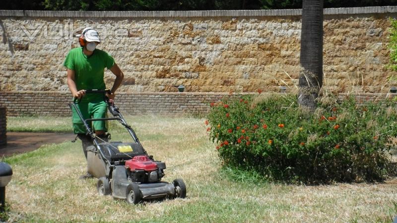 Rehabilitación del jardin