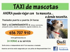 Taxi las 24 horas para su mascota en pontevedra