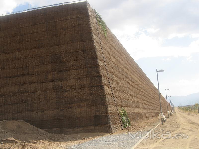 muro verde o muro ecológico