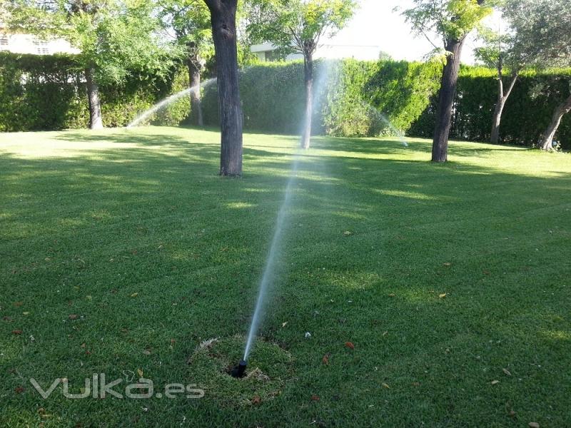 Jardines del sur. Jardinería Sevilla. Jardineros. 