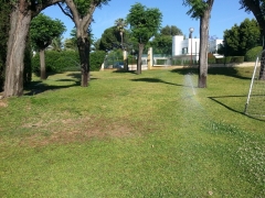 Foto 264 decoración jardines en Sevilla - Jardines del sur Jardineria Sevilla Jardineros