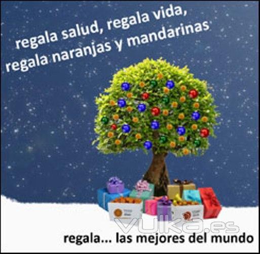 regala salud, regala vida, regala naranjas y mandarinas