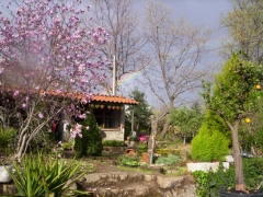 Foto 69 jardinería en Cáceres - Centro de Jardineria la Berrocosa