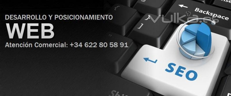 Posicionamiento Web (Seo)