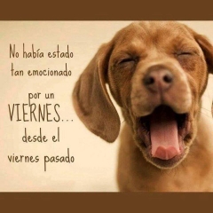 Foto 708 veterinaria - Clinica Veterinaria via de la Plata