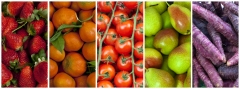 Frutas y verduras girones - wwwfrutasgironescom