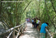 Itinerario botanico de buitrago