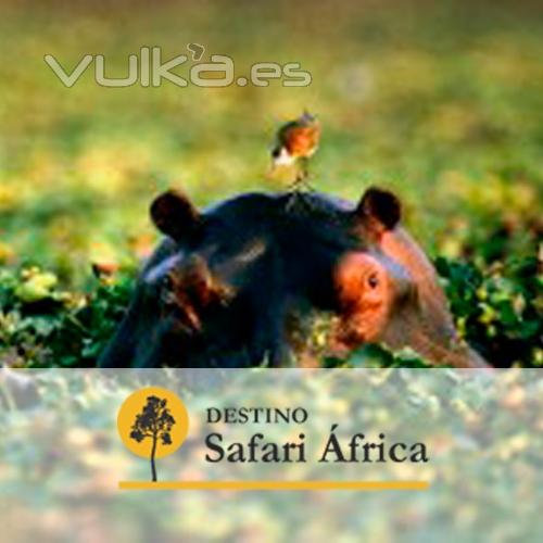 Safari Kenia. Viajes a Kenia - Soñar con África