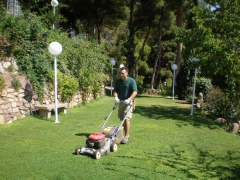 Foto 131 mantenimiento de jardinería en Valencia - Vadeverde
