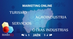 Marketing online en jaen orientado a turismo, agroindustria, sector servicios, otras industrias