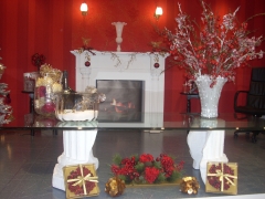 Exposicion, ambiente y articulos decoracion navidad