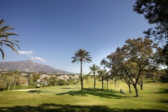 Real club de golf las brisas - foto 12