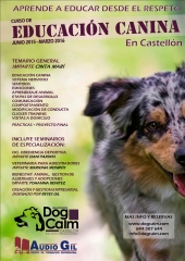 Aprende a educar desde el respeto curso educacion canina en castellon