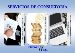 DIBALNEG aporta a sus clientes, un servicio de excelencia en consultoría.