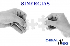 DIBALNEG, un aliado de confianza para potenciar las sinergias.