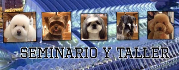 Seminarios y Talleres de peluqueria canina en Valencia, GRECOACOM