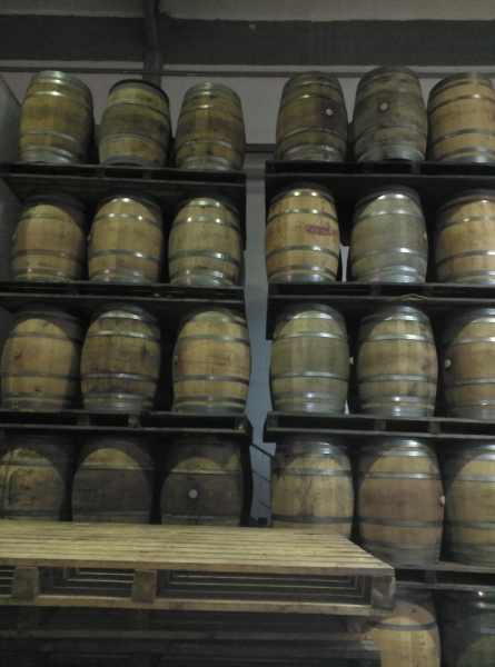 Used oak barrels