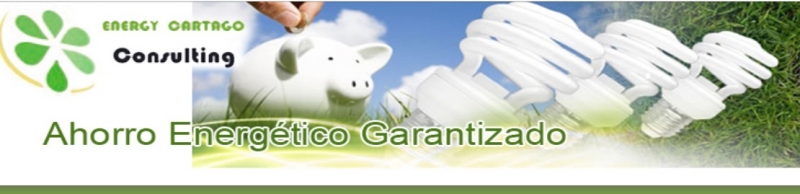 AHORRO ENERGETICO GARANTIZADO