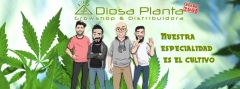 Diosa Planta