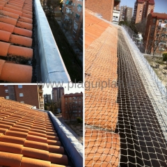 Canalon de aguas pluviales de un tejado con red anti palomas