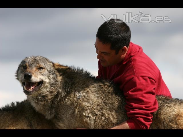 alquiler de animales para publicidad, tv y eventos