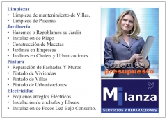 Servicios y reparaciones milanza - foto 9