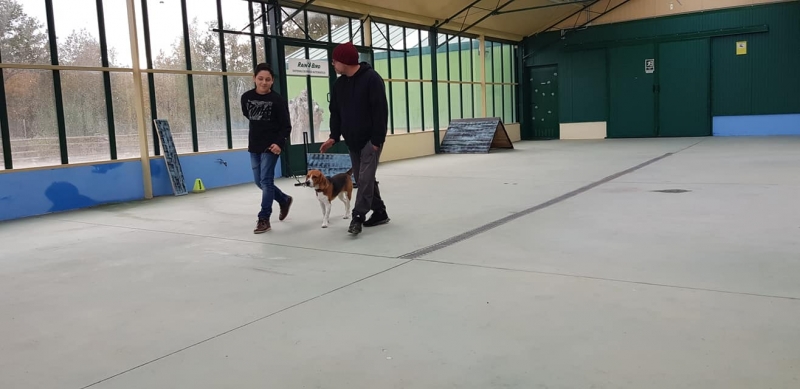 Escuela de entrenamiento y formación Narú