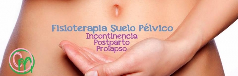 Fisioterapia. Suelo pélvico