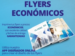 Flyers economicos