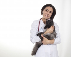 Veterinario especialista en gatos sala especial felina clinica amable con los gatos