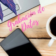 Tarea de grabacion, digitalizacion y actualizacion de base de datos