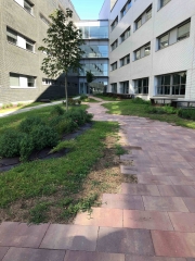 Jardín terapéutico del Hospital de Sant Pau (BCN)