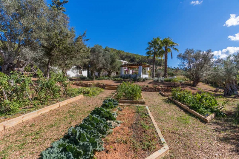 Jardín - Finca en San Lorenzo, San Juan, Ibiza - Engel & Völkers Ibiza - Inmobiliaria en Ibiza